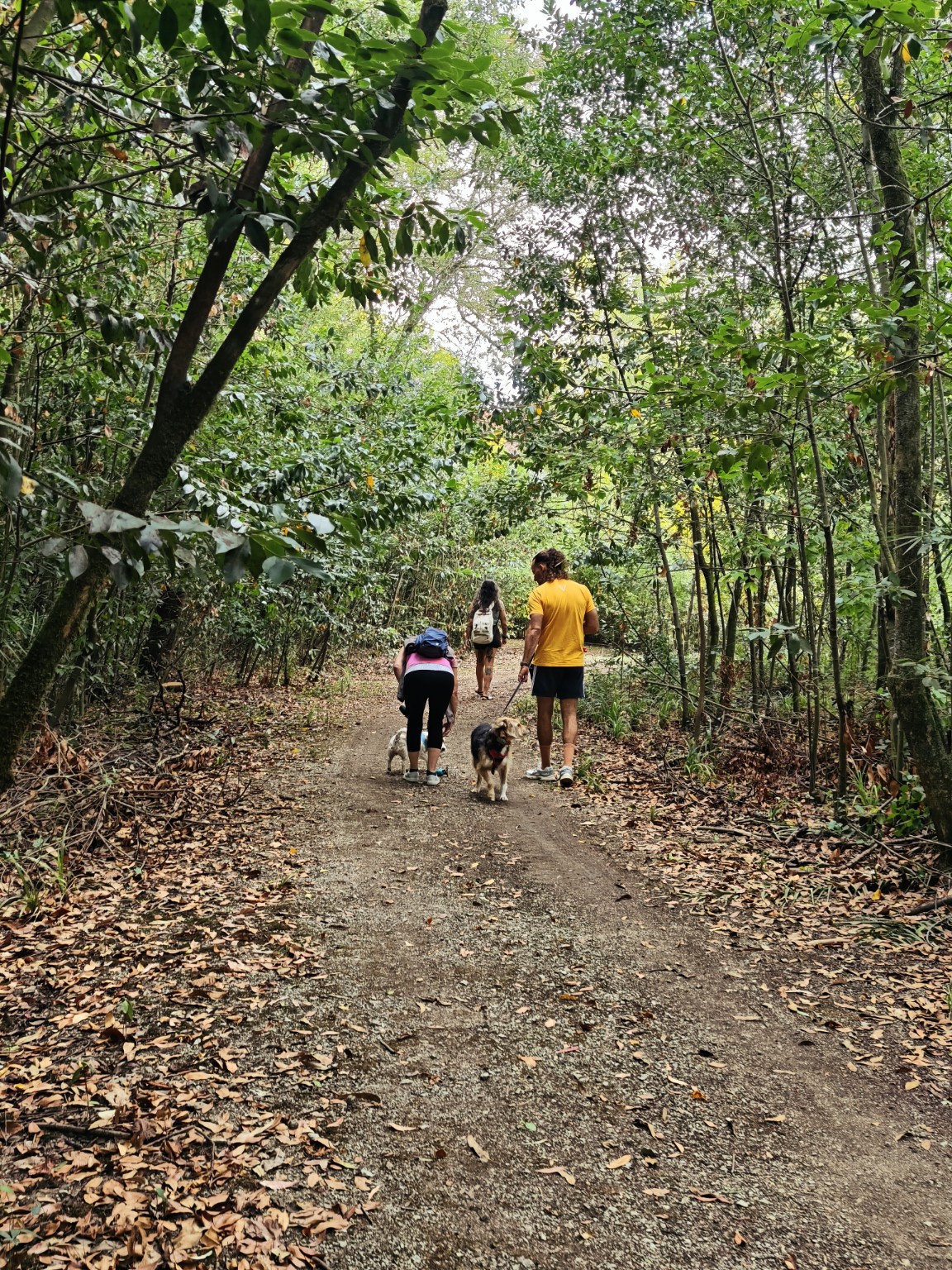 Participantes numa caminhada pela natureza